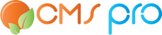 Your Company Name